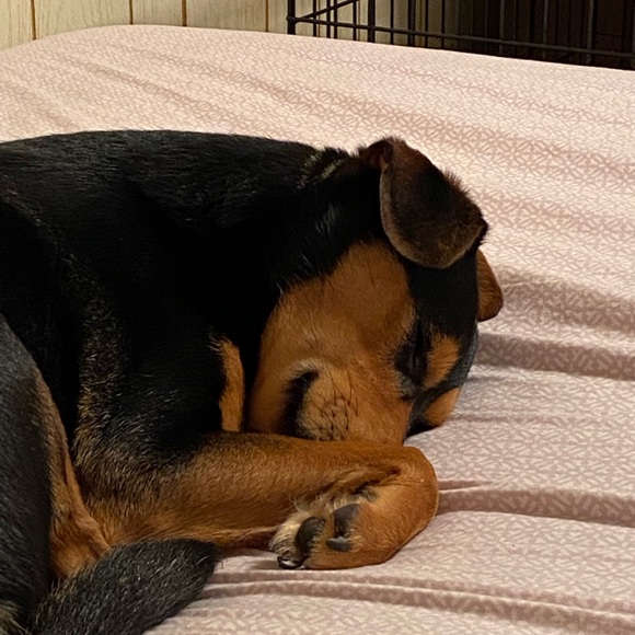 MEET MY PETS (: - Picture 10 of 16